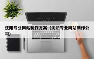 任丘沈阳专业网站制作方案（沈阳专业网站制作公司）